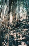 IMG_20260314_0047