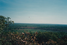 IMG_20260314_0050