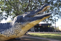 Concrete Croc